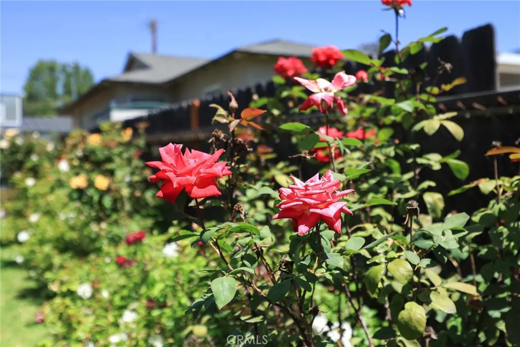 Additional image 64 of 334 E Juanita Avenue, San Dimas, CA 91773