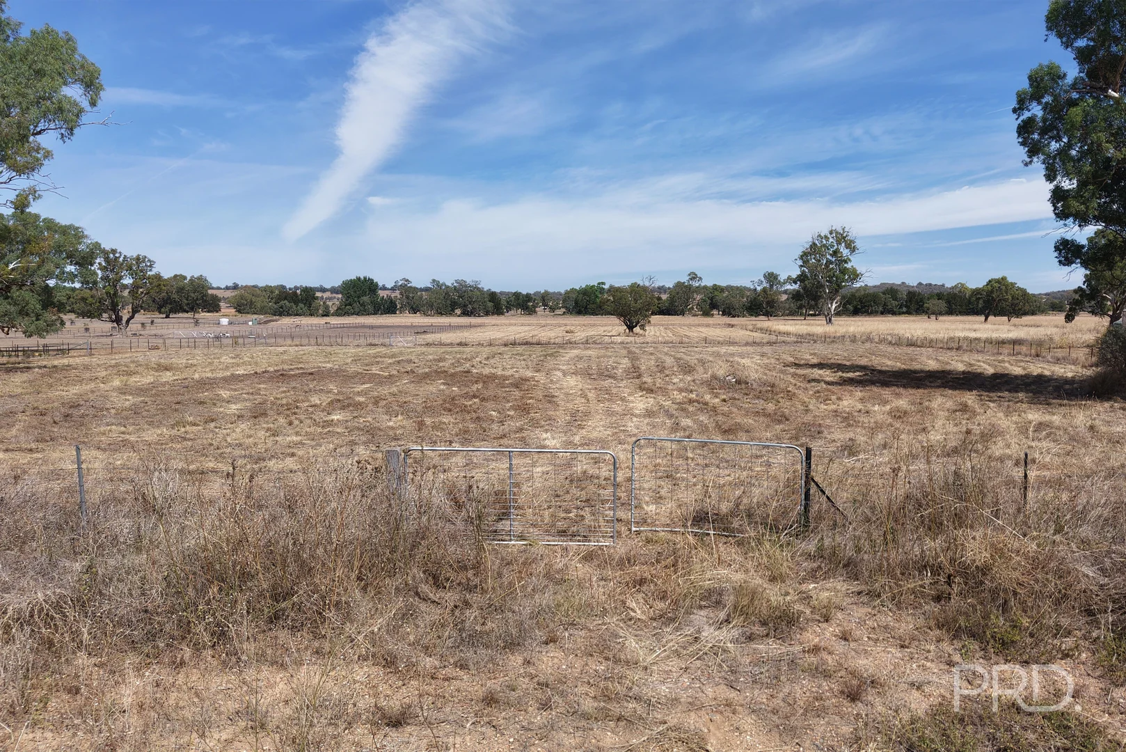 Additional image 7 of 479 Spains Lane, Quirindi NSW 2343
