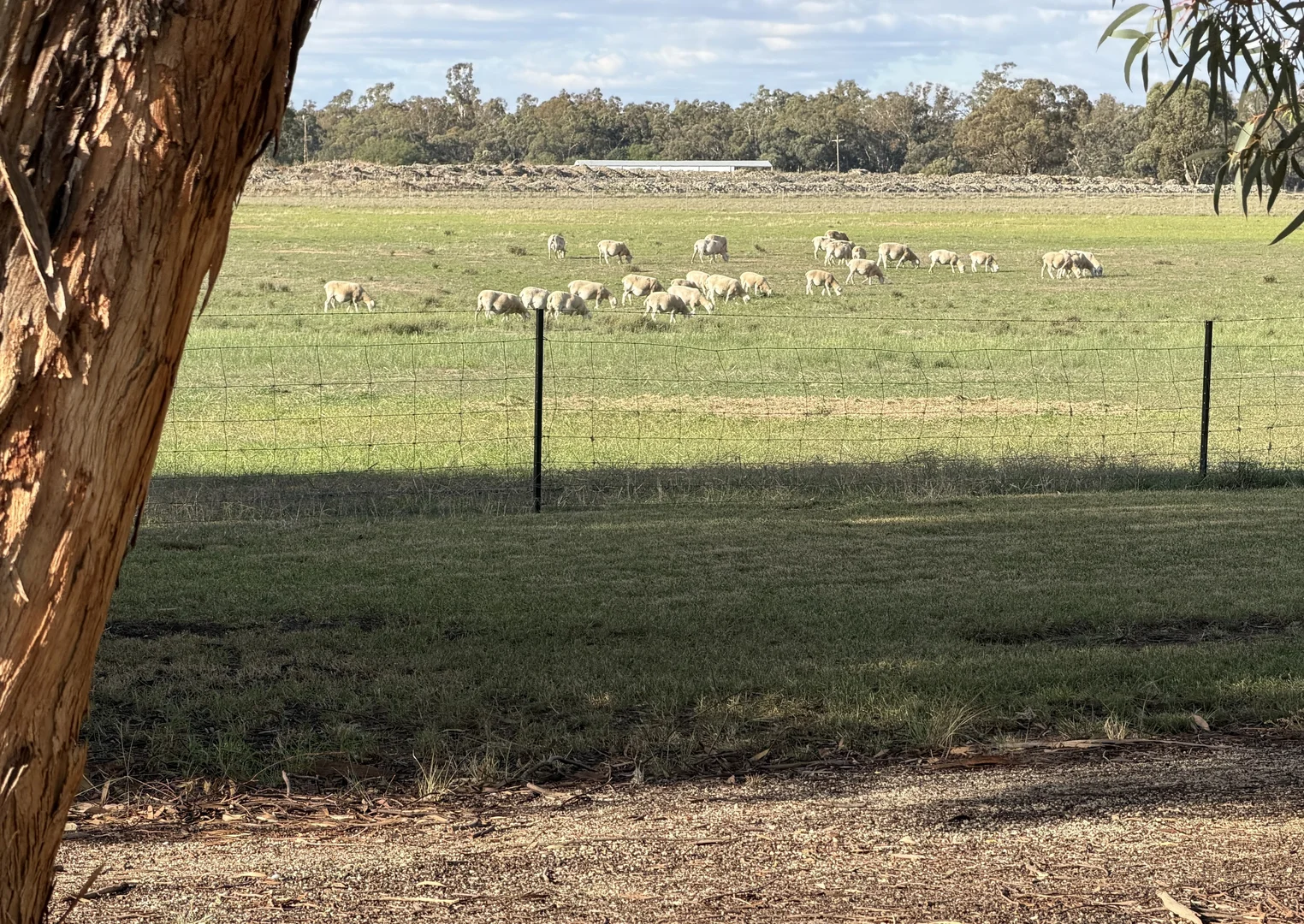 Additional image 19 of 'Selbit', 83 Four Post Road, Deniliquin NSW 2710