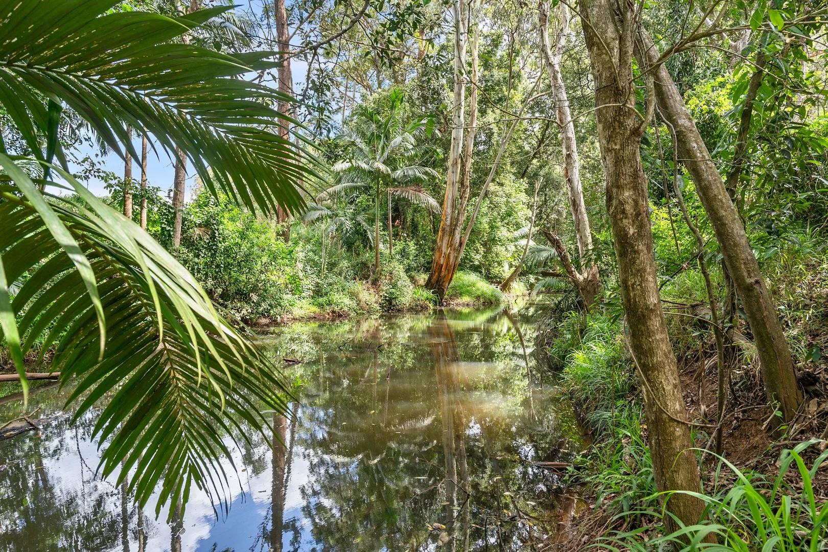 Additional image 5 of 136 Lindeman Road, Beerwah QLD 4519