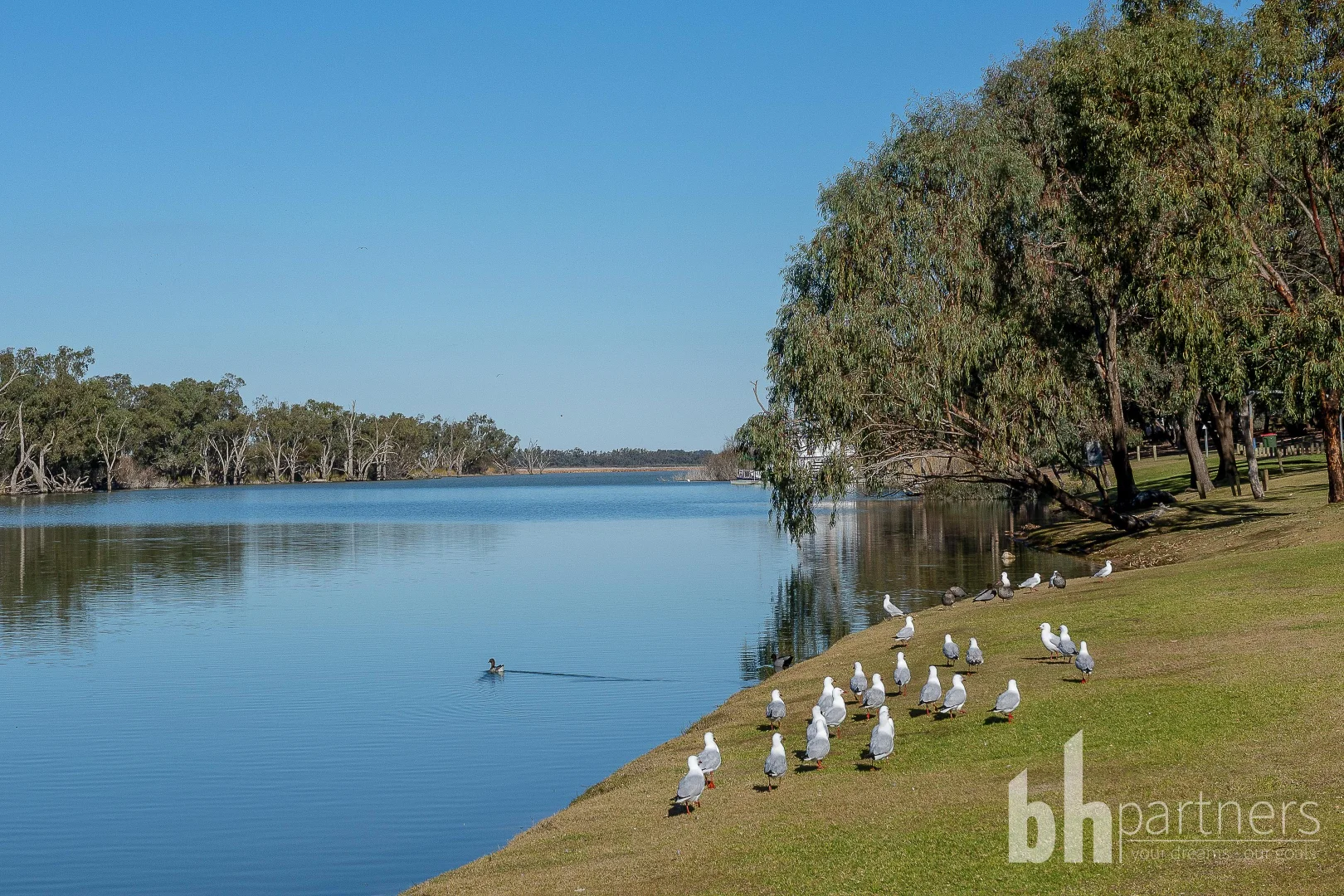 Additional image 8 of Lot 900 Moorook South Estate Final Stage, Moorook South SA 5332