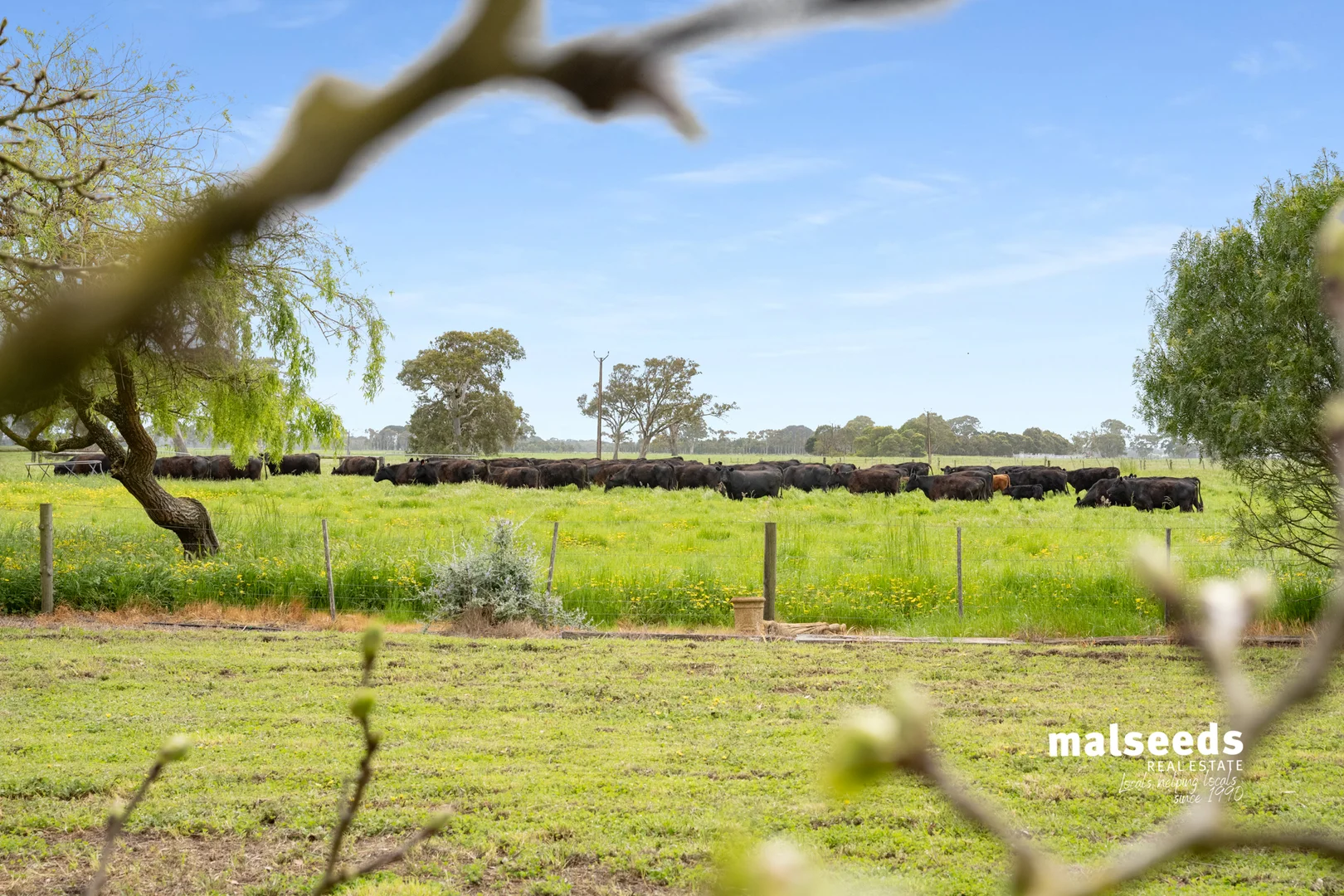 Additional image 28 of 1365B Mingbool Road, Mingbool SA 5291