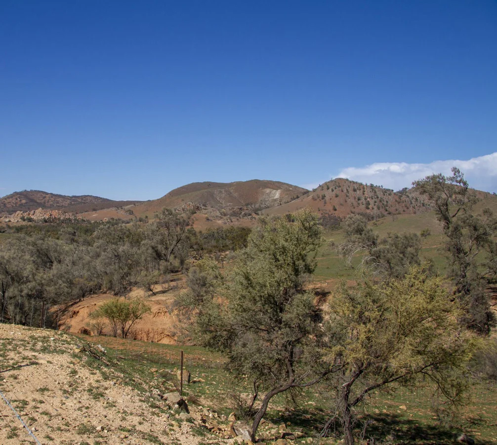 Additional image 8 of number 184 West Terrace, Carrieton SA 5432