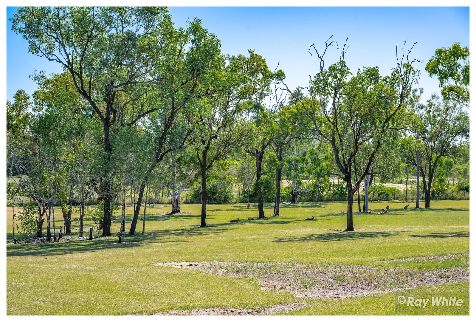 Additional image 46 of 29 Angela Road, Rockyview QLD 4701