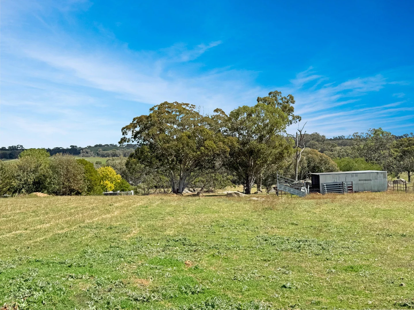 Additional image 29 of 4180 Olympic HWY, Young NSW 2594