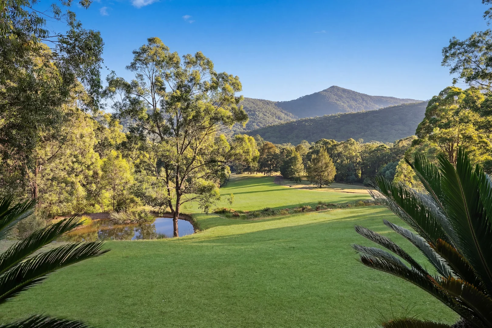 Additional image 5 of 144 Leiberts Lane, Brunkerville NSW 2323