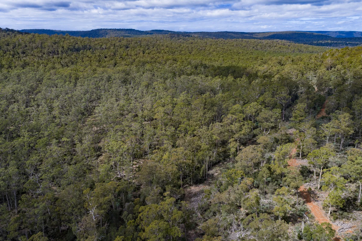 Additional image 11 of Mt Foster Road, Fingal TAS 7214