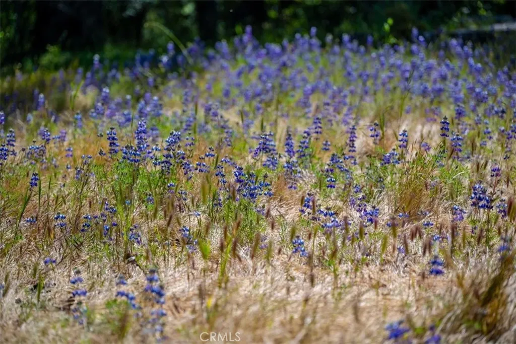 Additional image 143 of 12500 Cenegal Rd, Atascadero, CA 93422