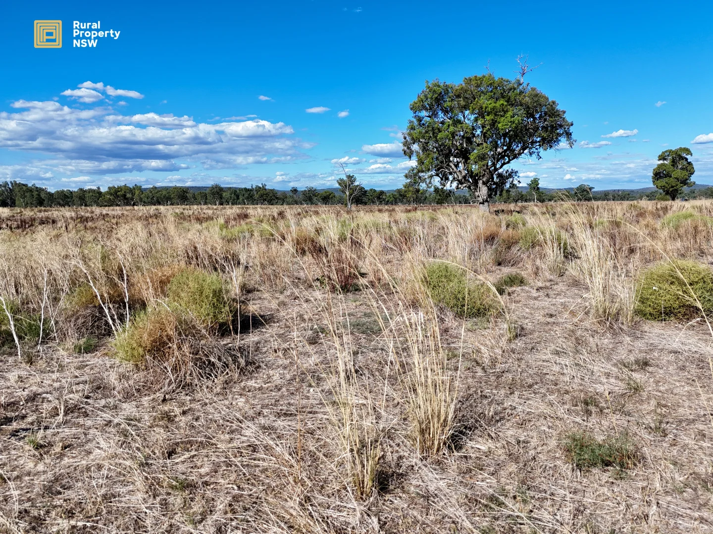 Additional image 7 of MCKENZIES/149 Henriendi Lane, Baan Baa NSW 2390
