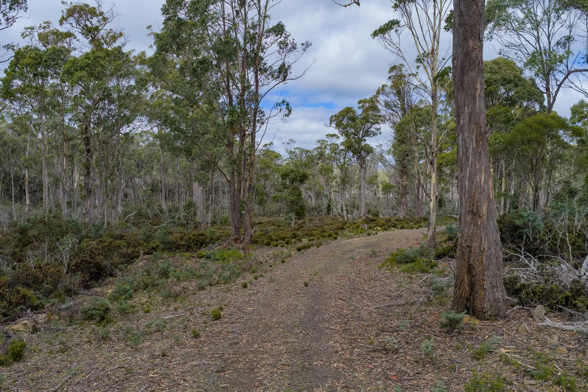 Additional image 6 of Mt Foster Road, Fingal TAS 7214