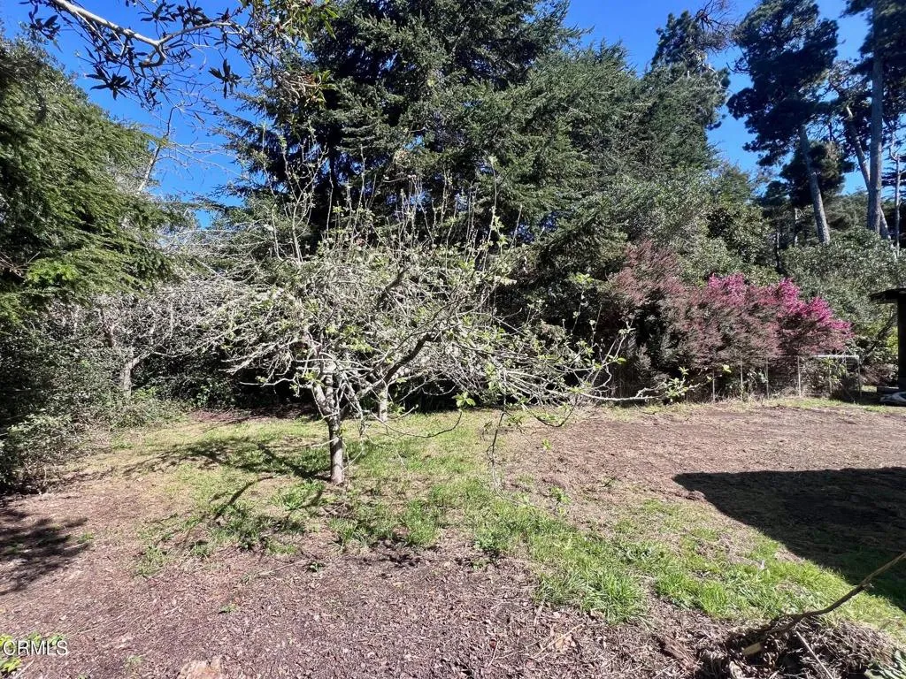 Additional image 115 of 18751 Sears Lane, Fort Bragg, CA 95437