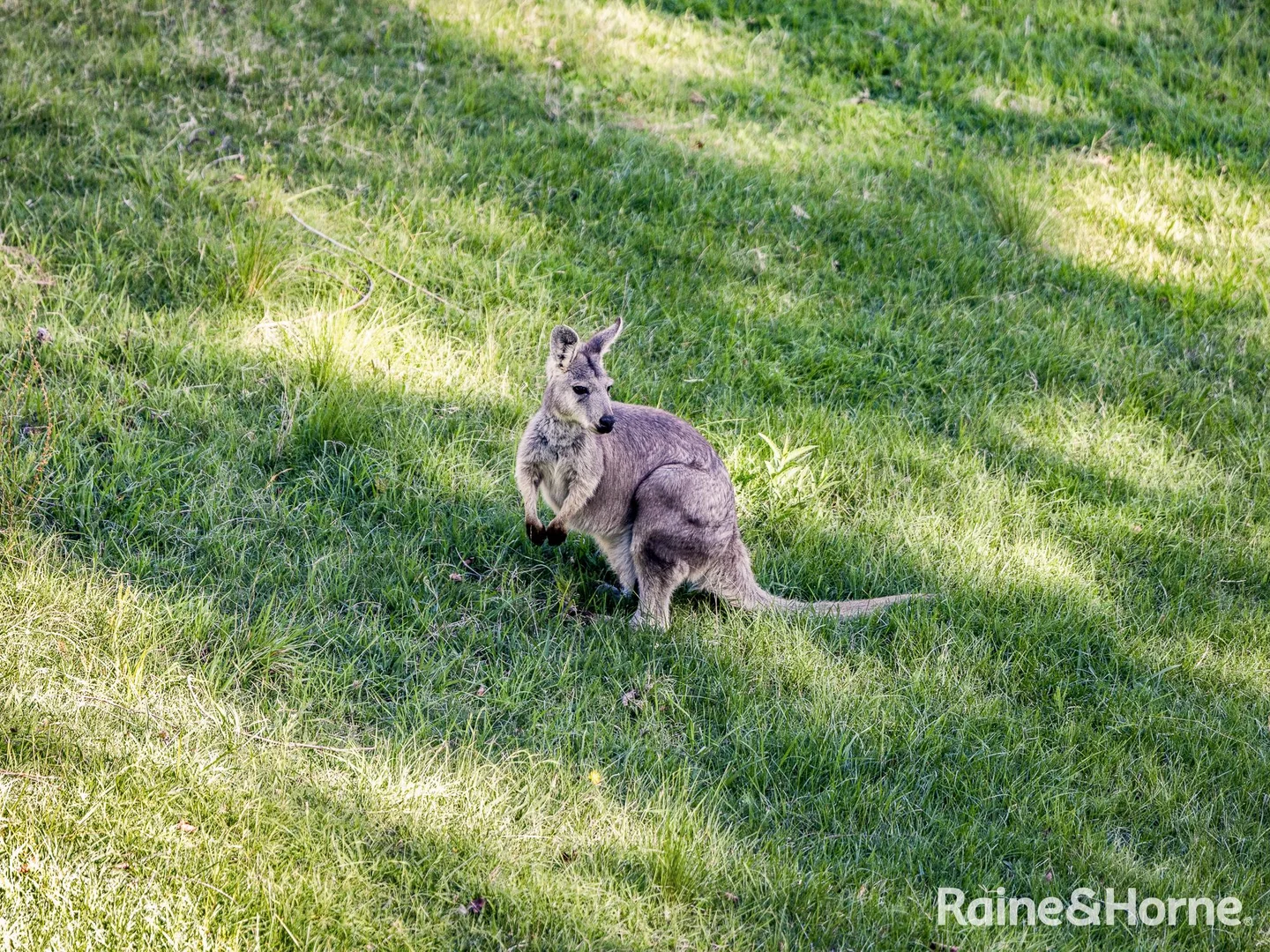Additional image 20 of 1459 Freemantle Road, Watton NSW 2795