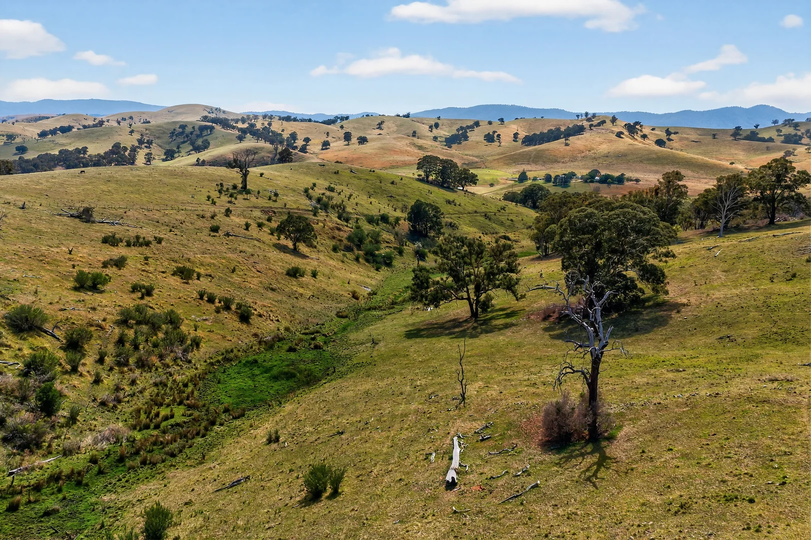 Additional image 14 of 89 Ensay-Doctors Flat Road, Ensay VIC 3895