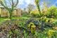 Additional image 12 of Common Moor, Liskeard, Cornwall, PL14
