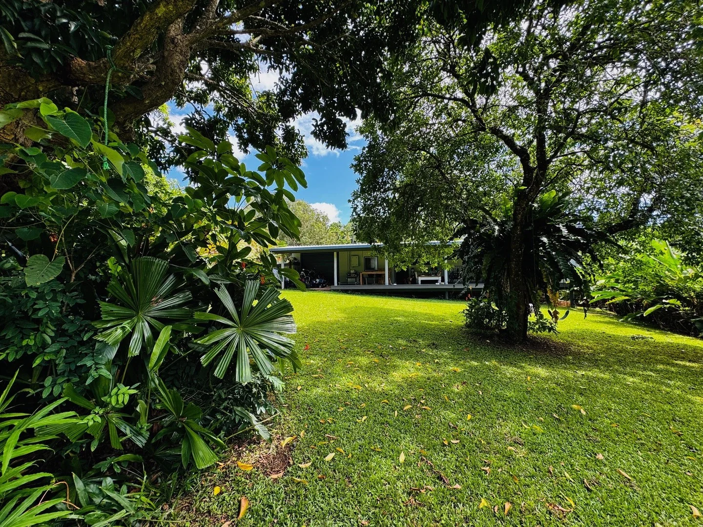 13 Webb Ct, Bingil Bay QLD 4852
