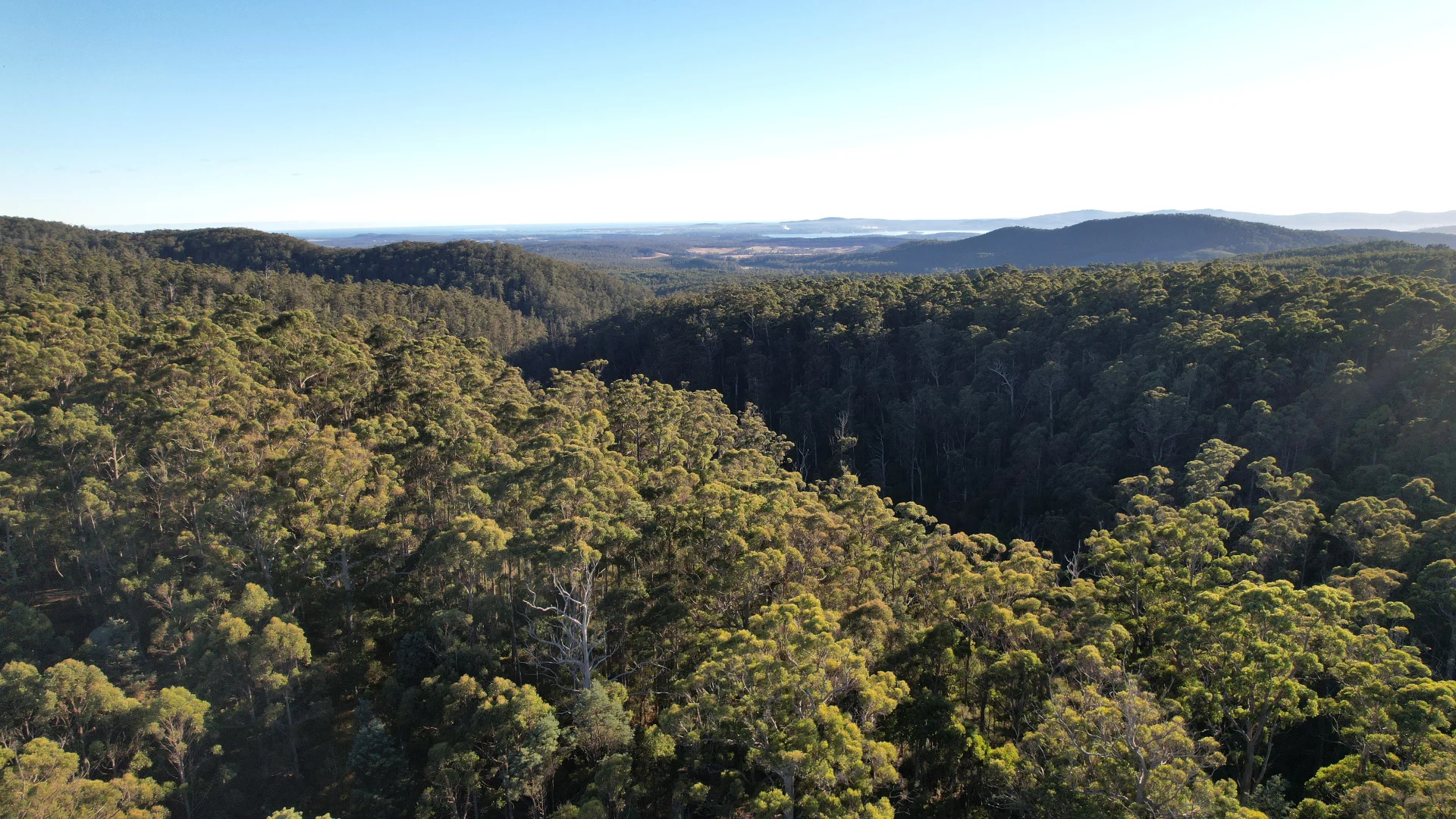 Additional image 13 of 166 Kerrisons Road, Holwell TAS 7275