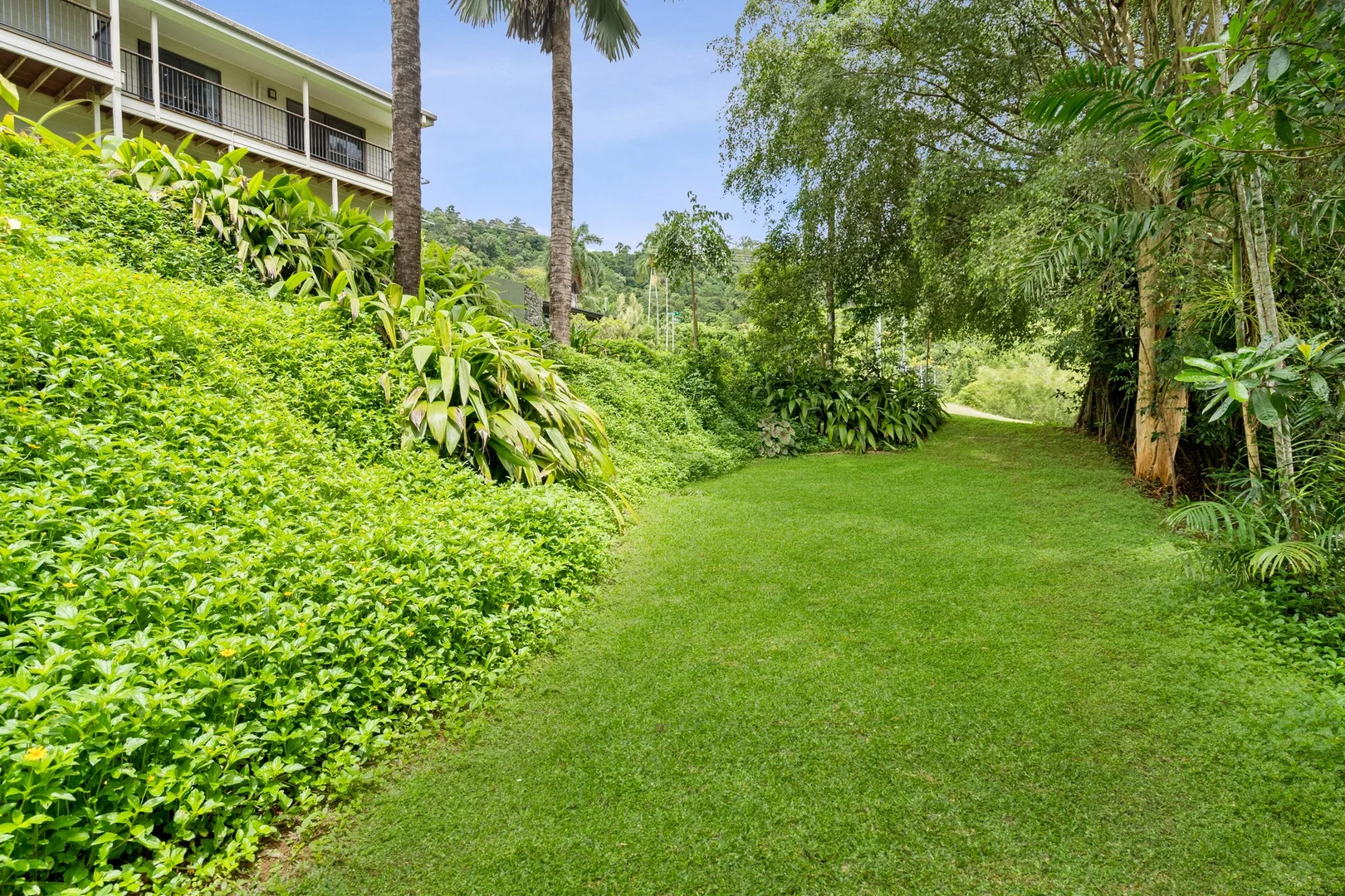 32 Jarda Street, Smithfield QLD 4878 photo 4