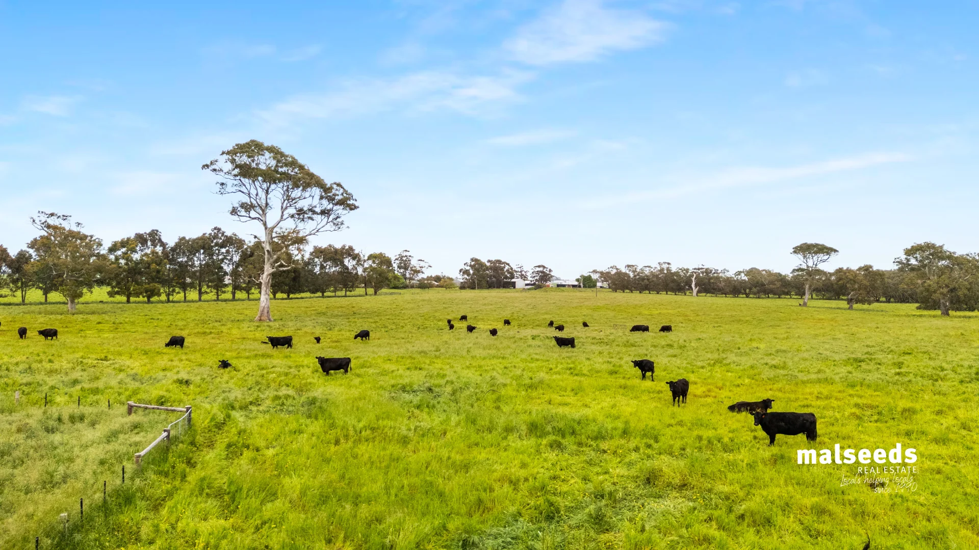 Additional image 29 of 1365B Mingbool Road, Mingbool SA 5291