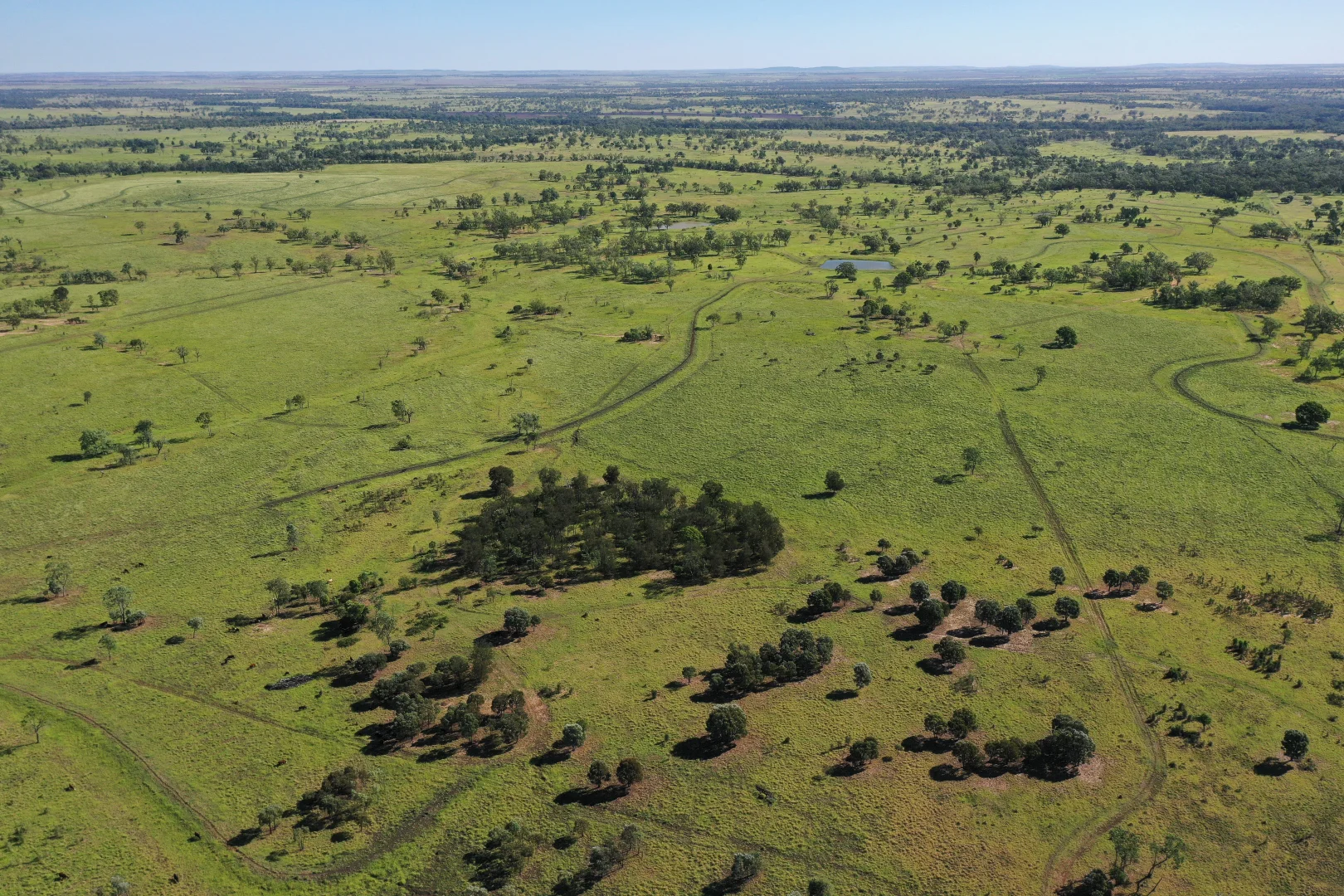Additional image 19 of 564 ORALLO ROAD, Roma QLD 4455