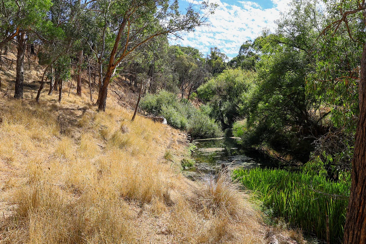 Additional image 34 of 138 Bridge Road, Bushfield VIC 3281