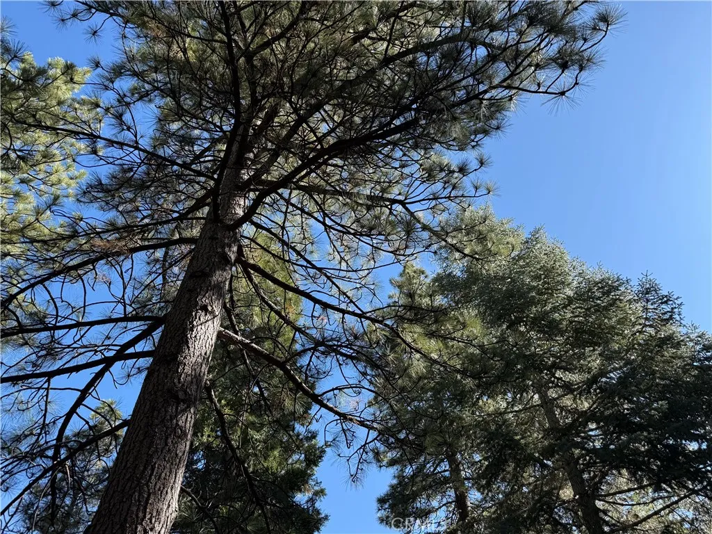 Additional image 2 of 27334 Pinewood Drive, Lake Arrowhead, CA 92352