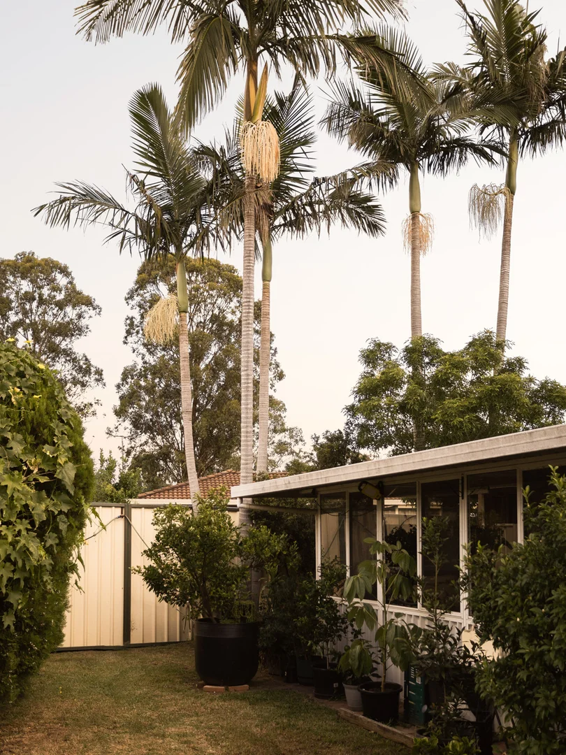 Additional image 12 of 6 Selms Place, Minto NSW 2566
