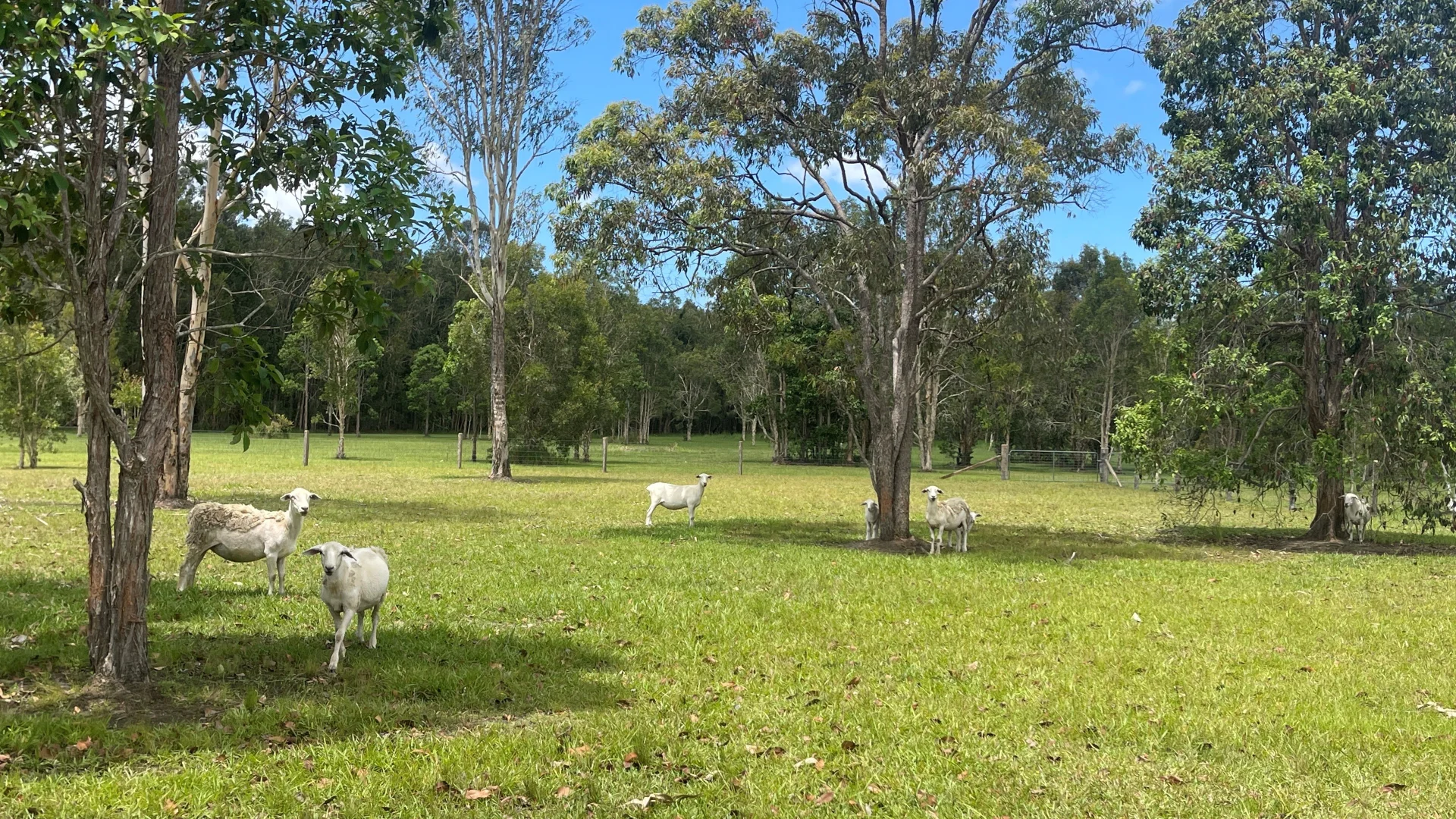 Additional image 34 of 48 Boronia Road, Cootharaba QLD 4565