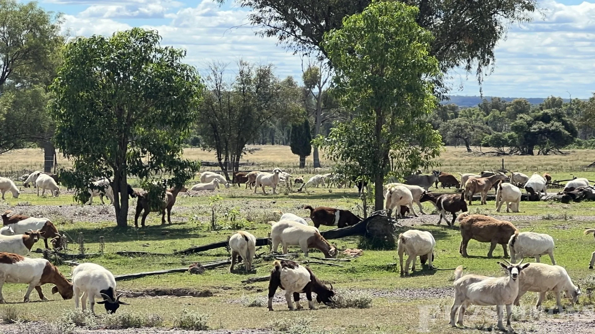Additional image 11 of Braziers Road, Jandowae QLD 4410
