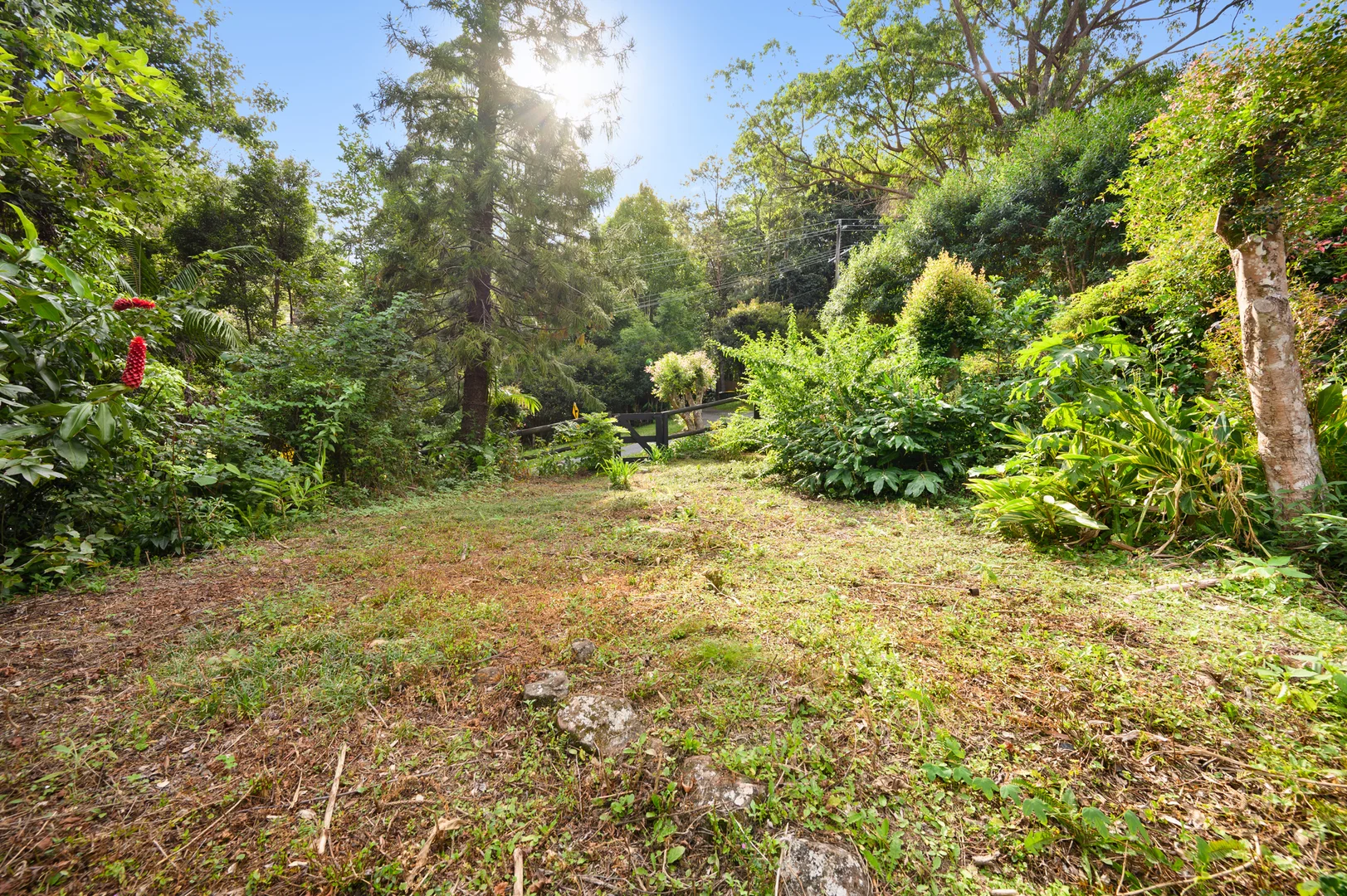 Additional image 30 of 87 Kinabalu Drive, Tamborine Mountain QLD 4272