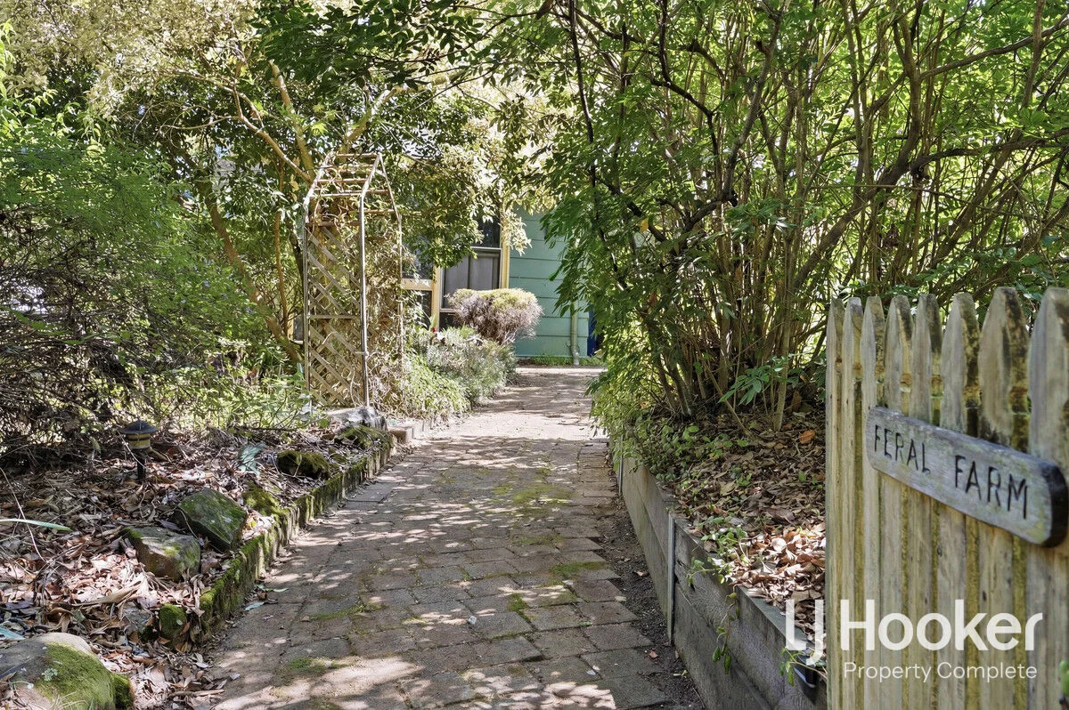 Additional image 14 of 135 Missouri Street, Jimboomba QLD 4280