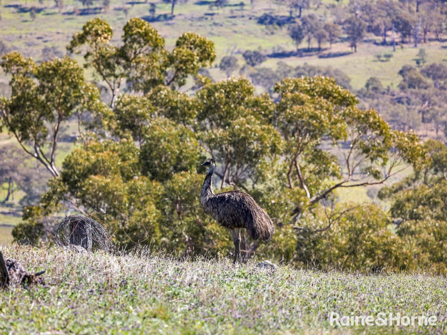 Additional image 29 of 1459 Freemantle Road, Watton NSW 2795