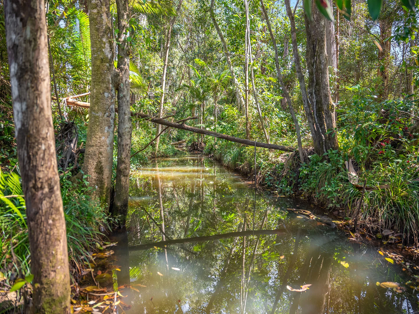 Additional image 8 of 136 Lindeman Road, Beerwah QLD 4519