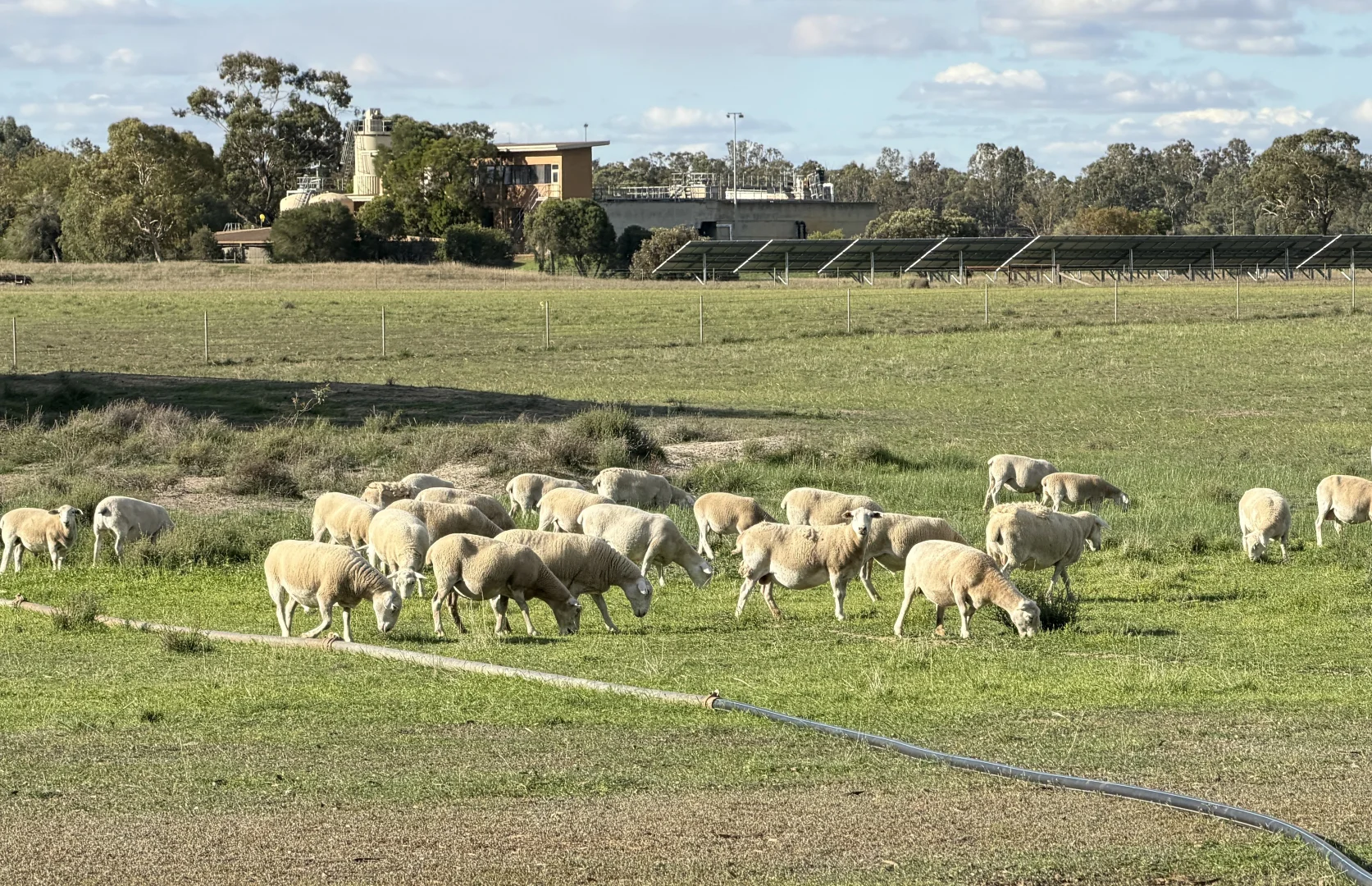 Additional image 21 of 'Selbit', 83 Four Post Road, Deniliquin NSW 2710