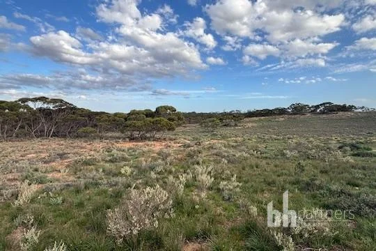 Additional image 12 of Section 369 Schwertie Road, Black Hill SA 5353