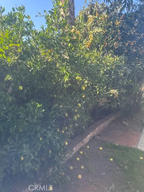 Additional image 55 of 928 W Buffington St, Upland, CA 91784