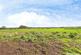 Additional image 33 of Rowley, Consett