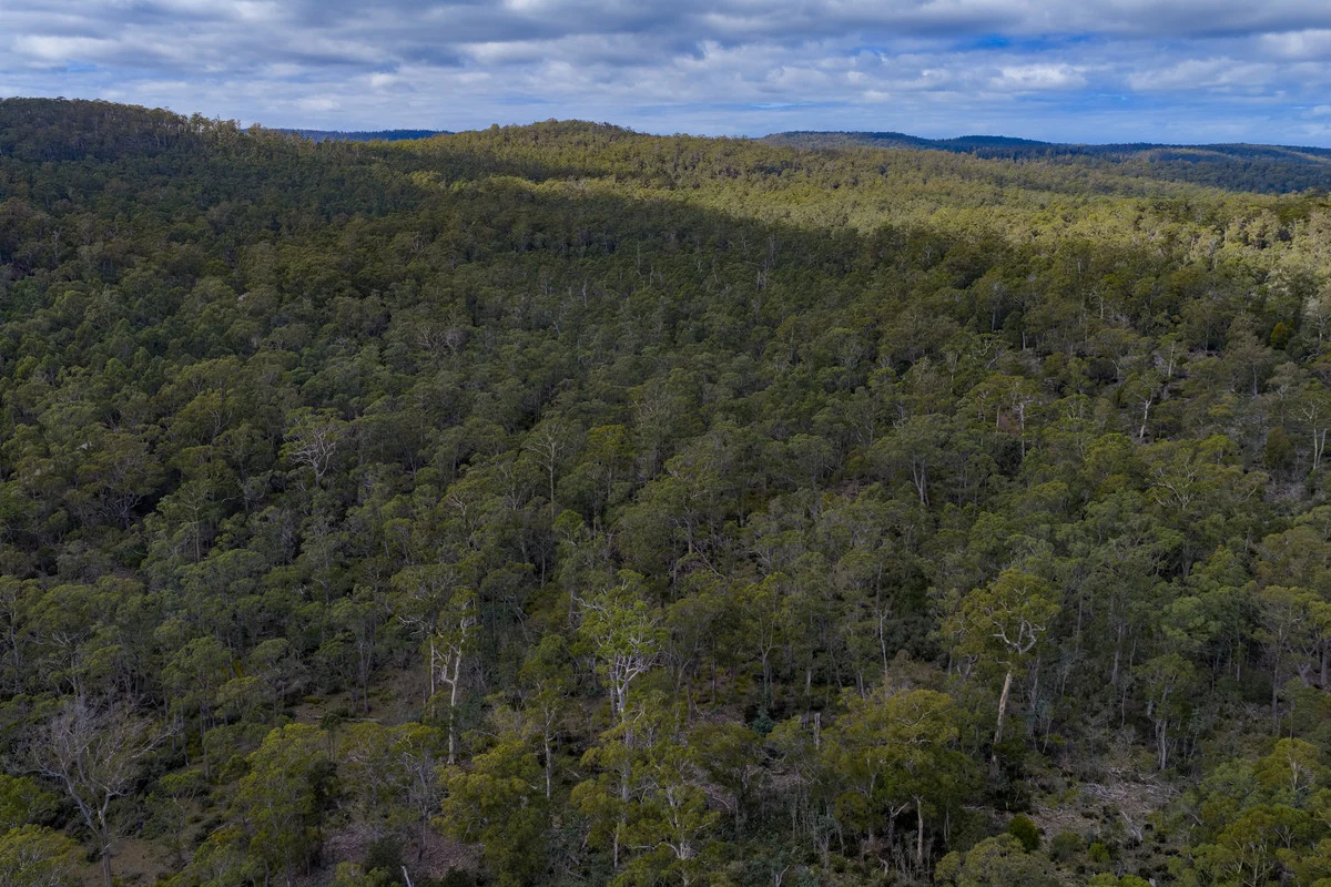 Additional image 15 of Mt Foster Road, Fingal TAS 7214