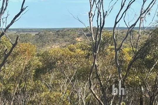 Additional image 18 of Section 369 Schwertie Road, Black Hill SA 5353
