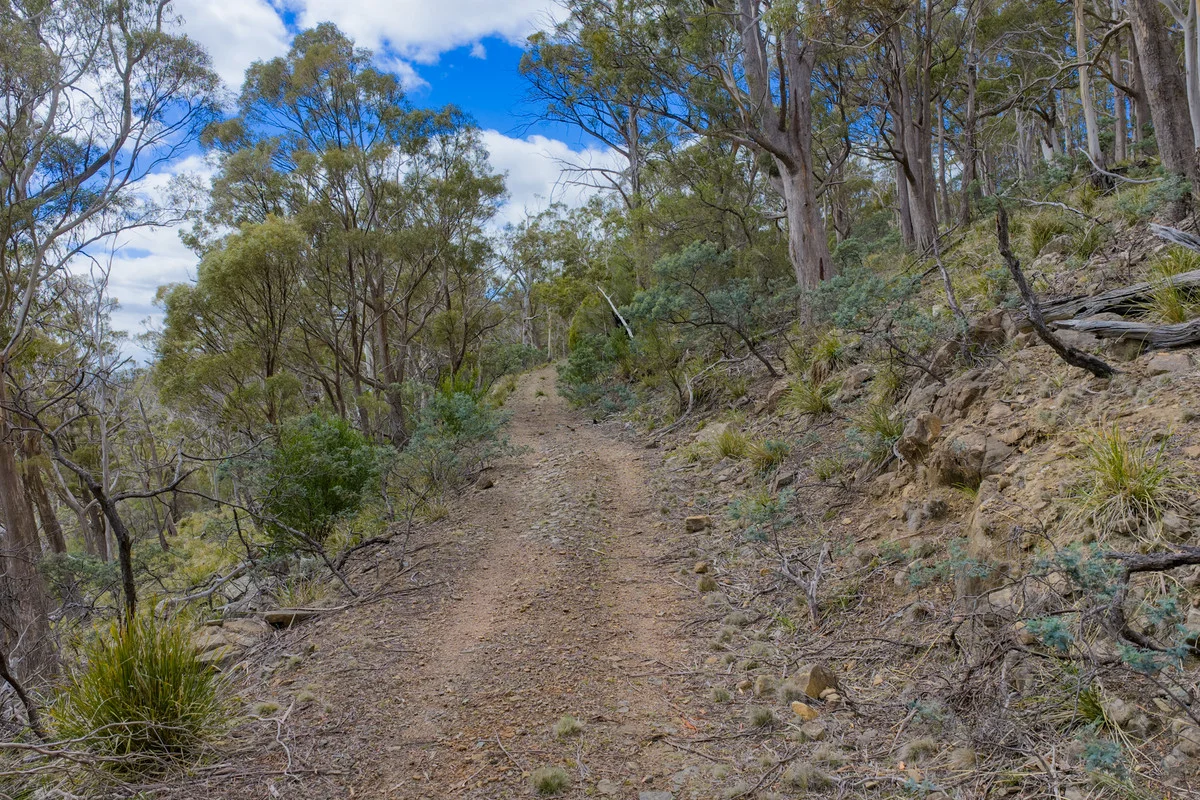 Additional image 2 of Mt Foster Road, Fingal TAS 7214