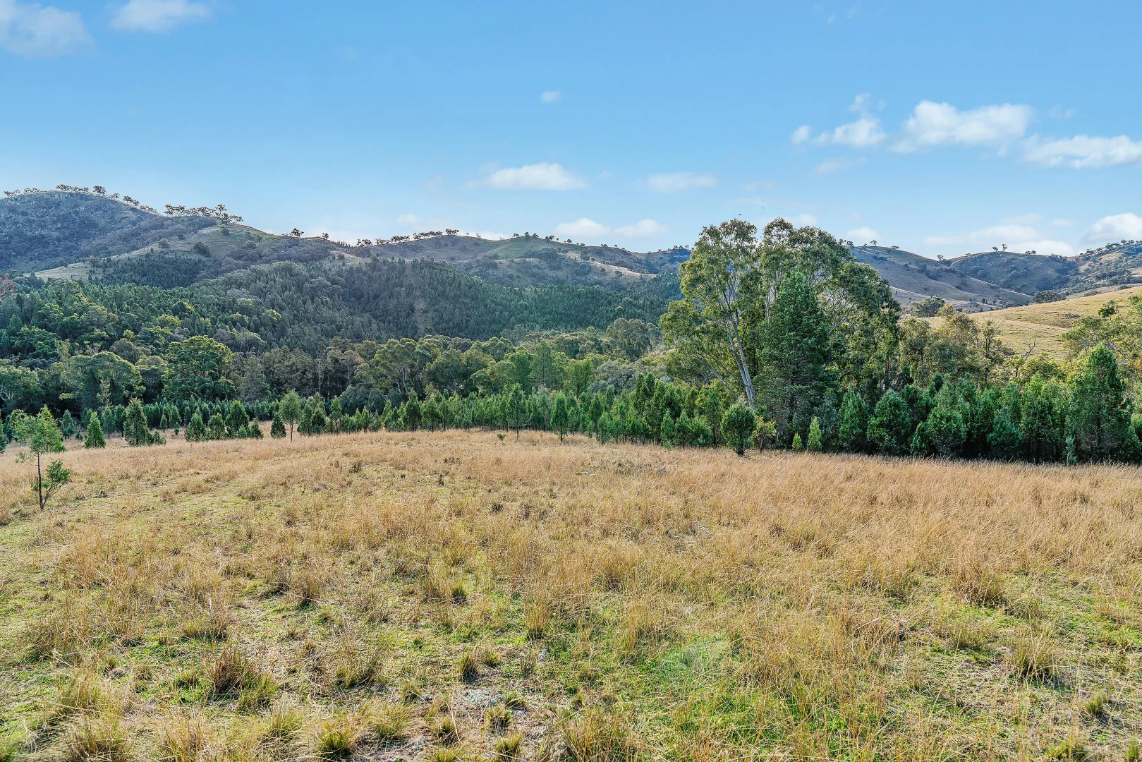 Additional image 5 of 2/1193 Yarrabin Road, Mudgee NSW 2850