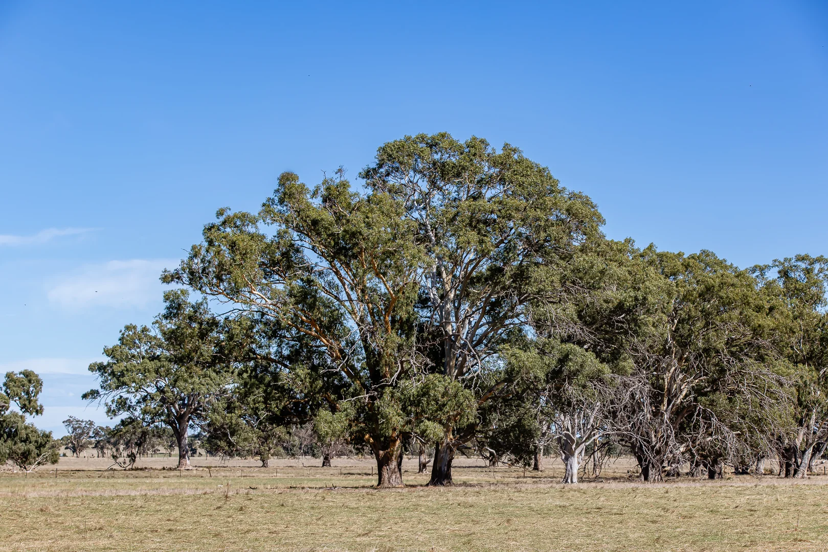 Additional image 4 of 576 Lochaber North Road, Lochaber SA 5271