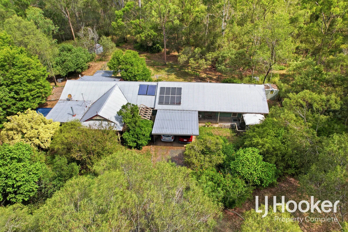 Additional image 16 of 135 Missouri Street, Jimboomba QLD 4280