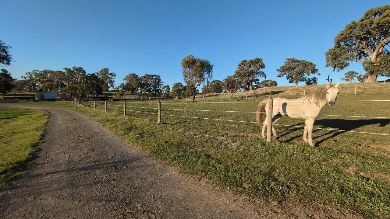 Additional image 19 of 1043 Black Heath Rd, Tungkillo SA 5236