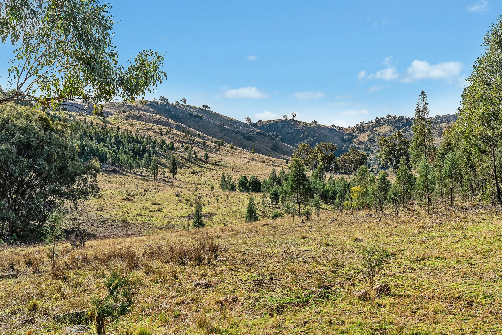 Additional image 6 of 2/1193 Yarrabin Road, Mudgee NSW 2850