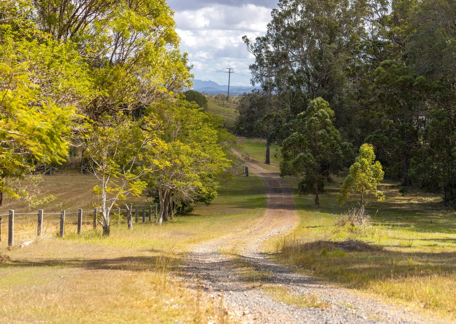 Additional image 24 of 16 Ruprechts Road, Mitchells Island NSW 2430