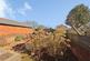 Additional image 25 of Bramworth Road, Doncaster DN4