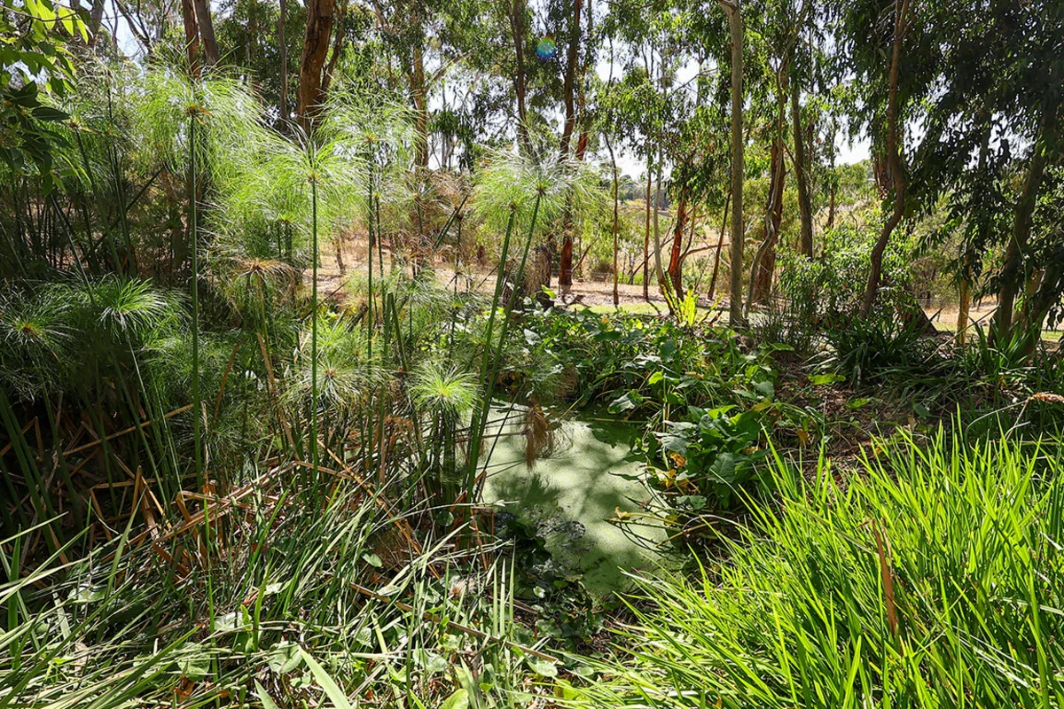 Additional image 29 of 138 Bridge Road, Bushfield VIC 3281