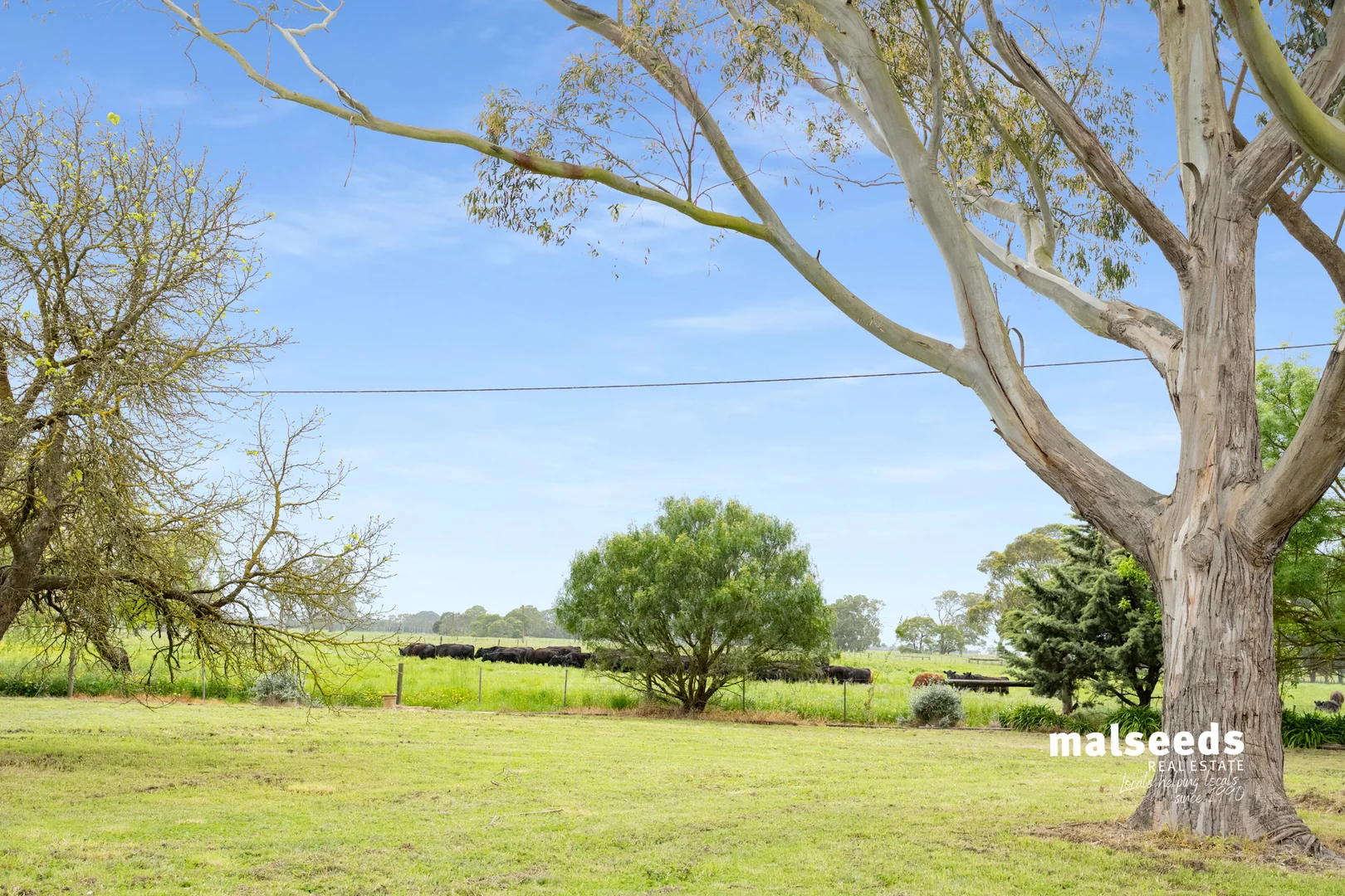 Additional image 33 of 1365B Mingbool Road, Mingbool SA 5291