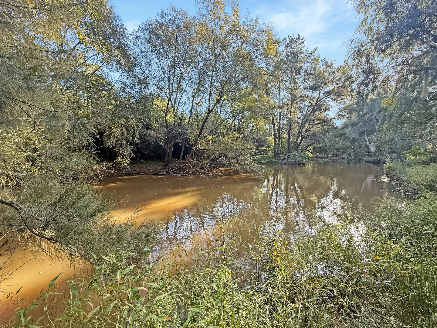 Additional image 5 of 2938 Paynes Crossing Rd, Wollombi NSW 2325