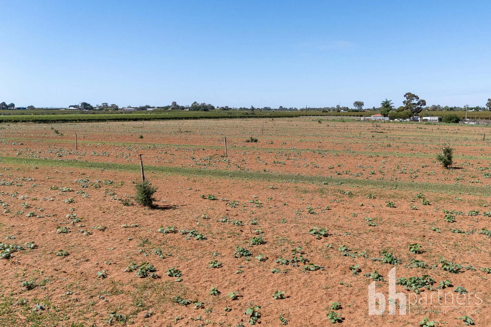 Additional image 8 of Lot 38 Loveday Road, Barmera SA 5345